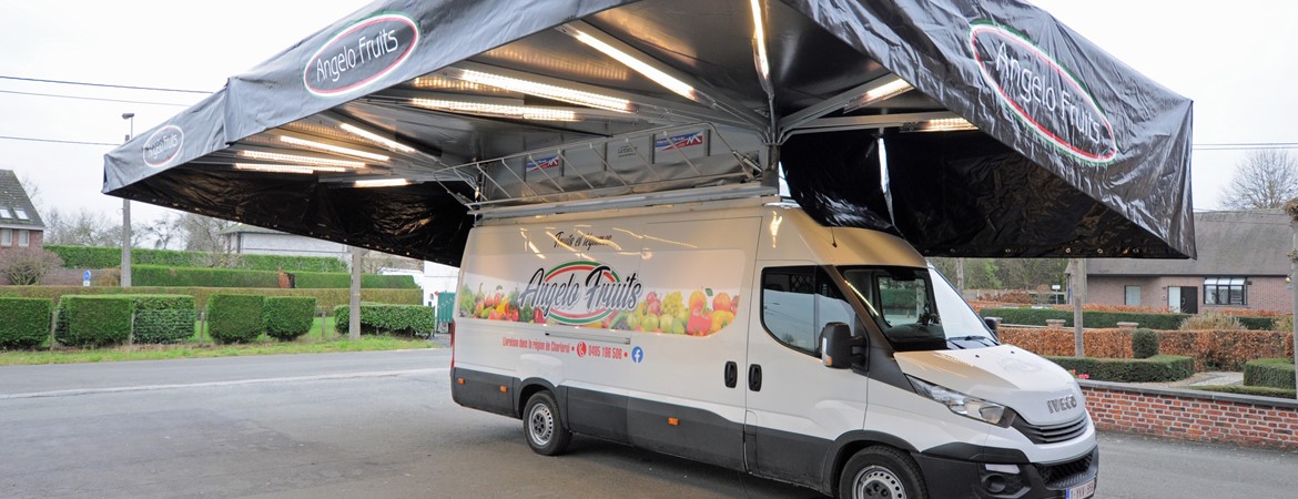 MANCINI-TENDE ANGELO FRUITS